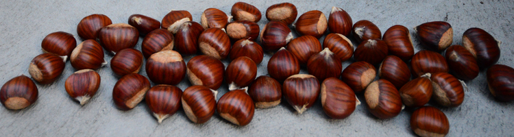 Chestnuts 013